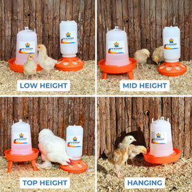Lil'Clucker 1.5L waterer with anti-drown moat and adjustable height.