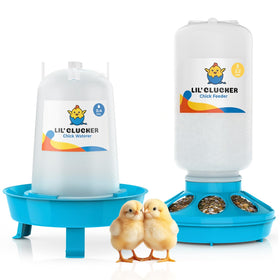 Lil'Clucker 1L chick feeder — spill-free feeding for young chicks.