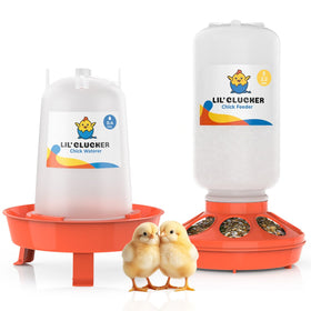 Lil'Clucker 1L chick feeder offers safe, easy access for baby chicks.