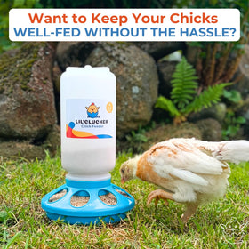 Lil'Clucker adjustable legs allow growing chicks to drink comfortably.