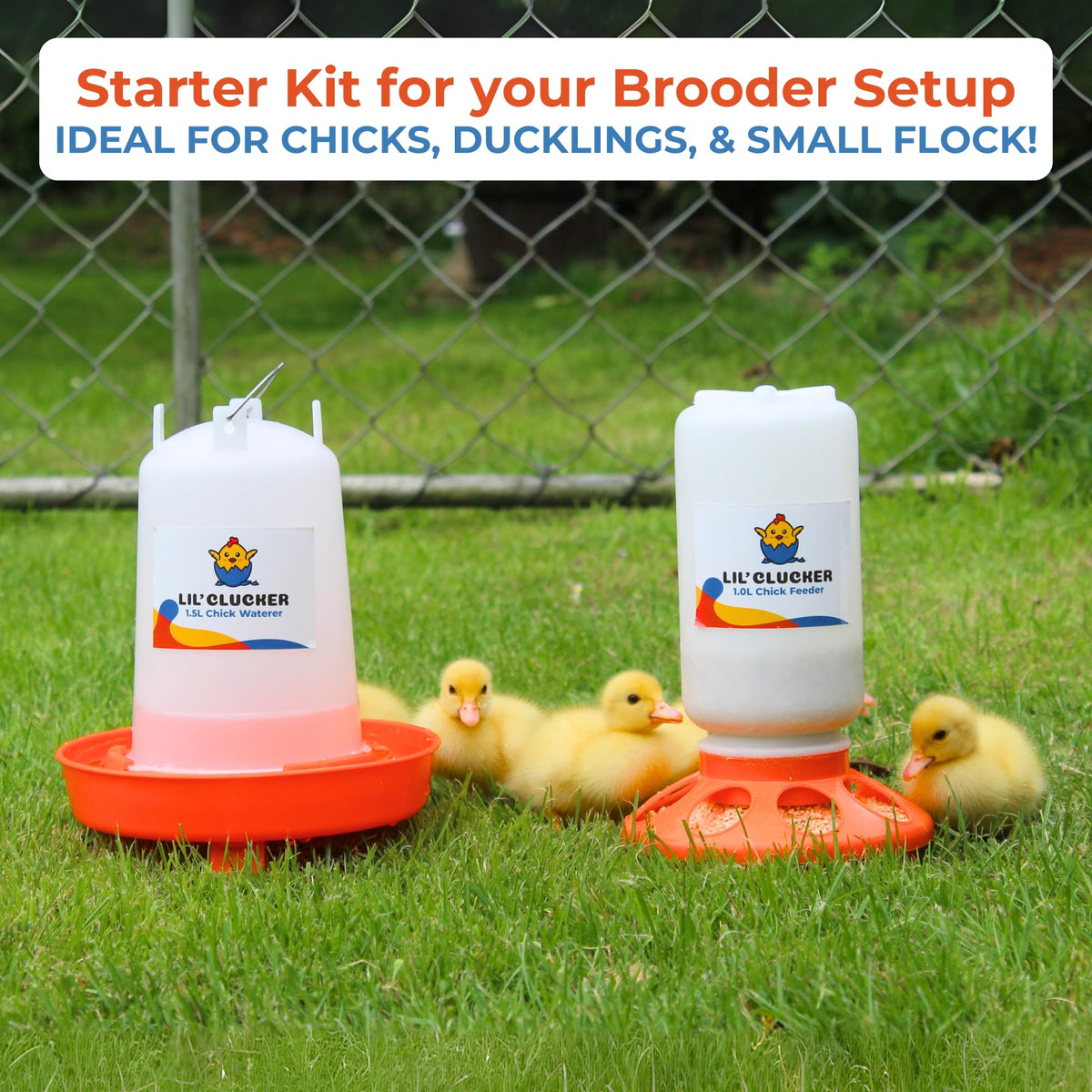 Lil'Clucker adjustable legs adapt to growing chicks and brooders.