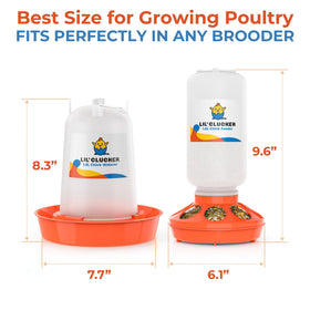Lil'Clucker anti-tip base ensures a stable feeder in a busy coop.