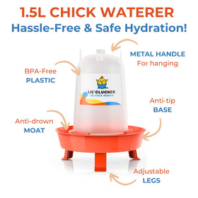 Lil'Clucker brooders-ready kit simplifies chick rearing in compact spaces.