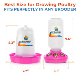 Lil'Clucker waterer 1.5L top view highlights adjustable height