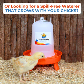 Lil'Clucker compact kit fits small flocks and brooder setups.