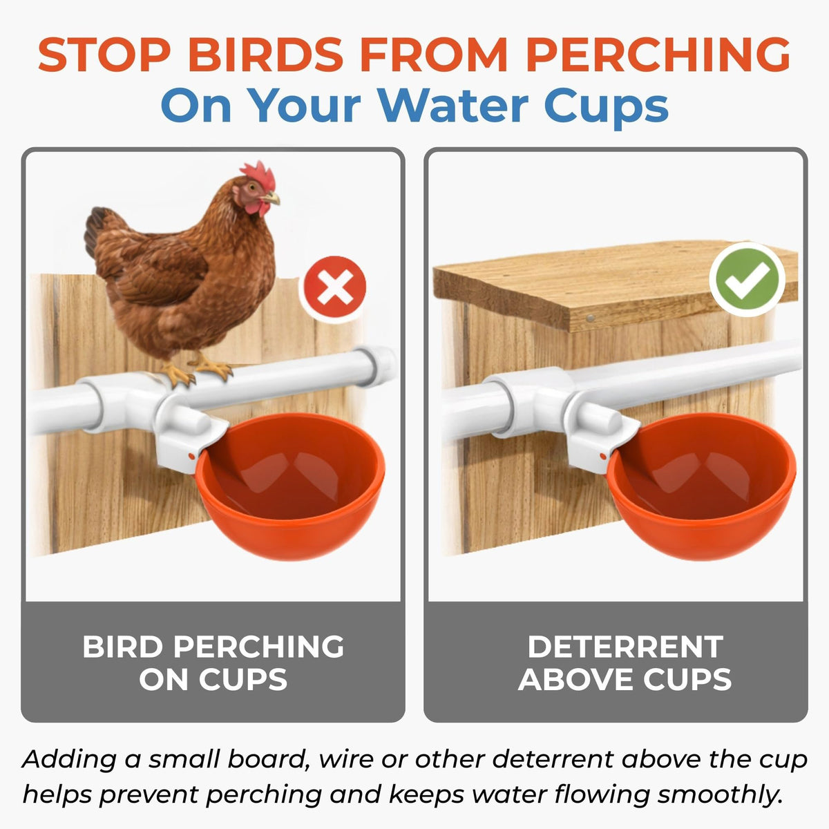 Lil'Clucker 5-pack delivers versatile waterers for larger flocks.