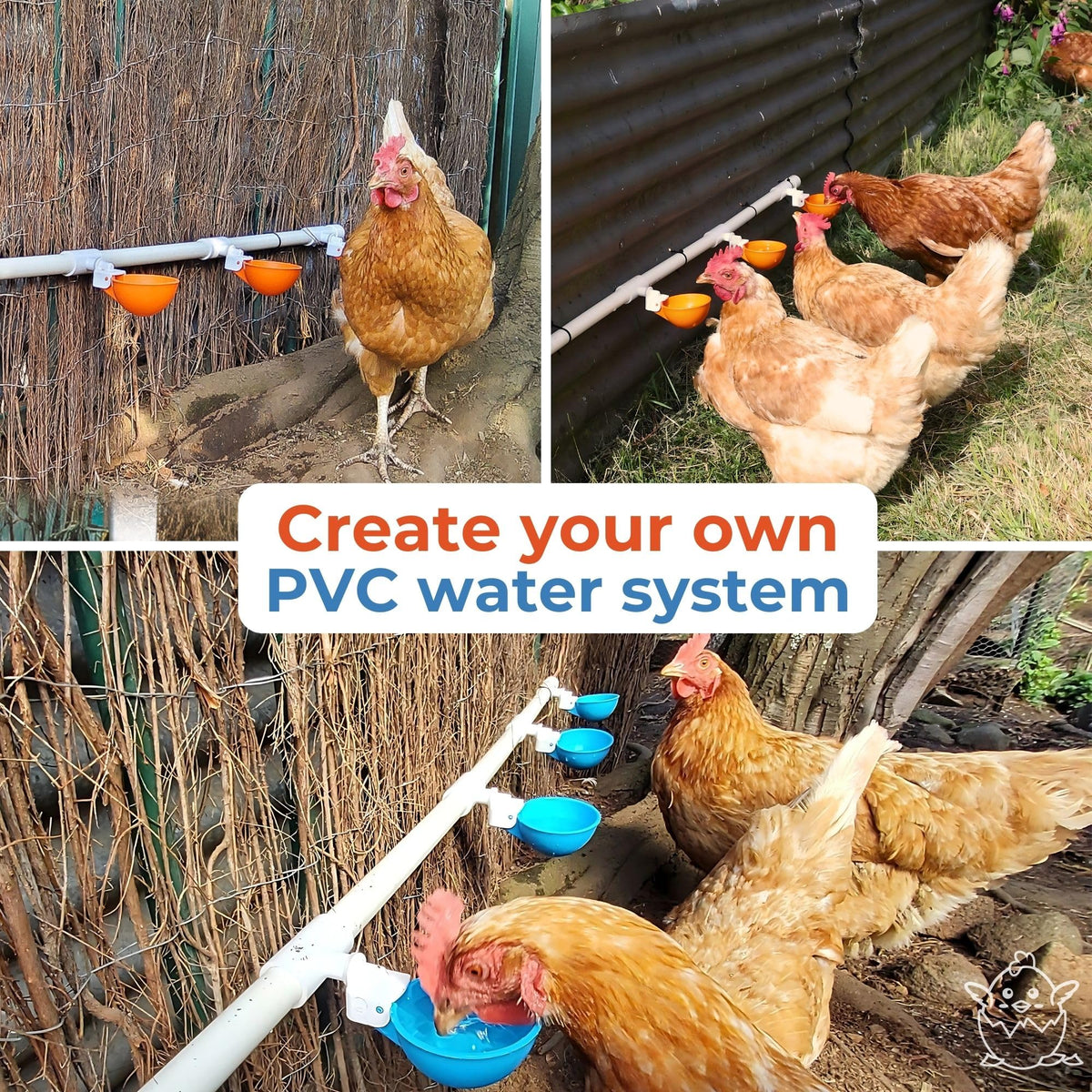 Lil'Clucker waterer kit for chickens, ducks, turkeys, and geese in coop.