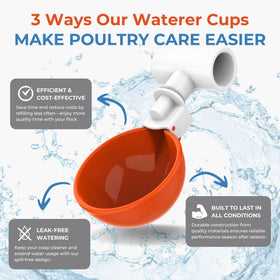 Lil'Clucker easy-install PVC setup with connected water cups.