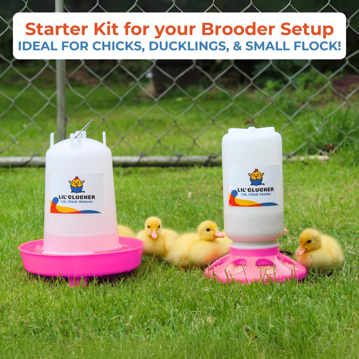 Lil'Clucker feeder anti-tip base close-up demonstrates stability