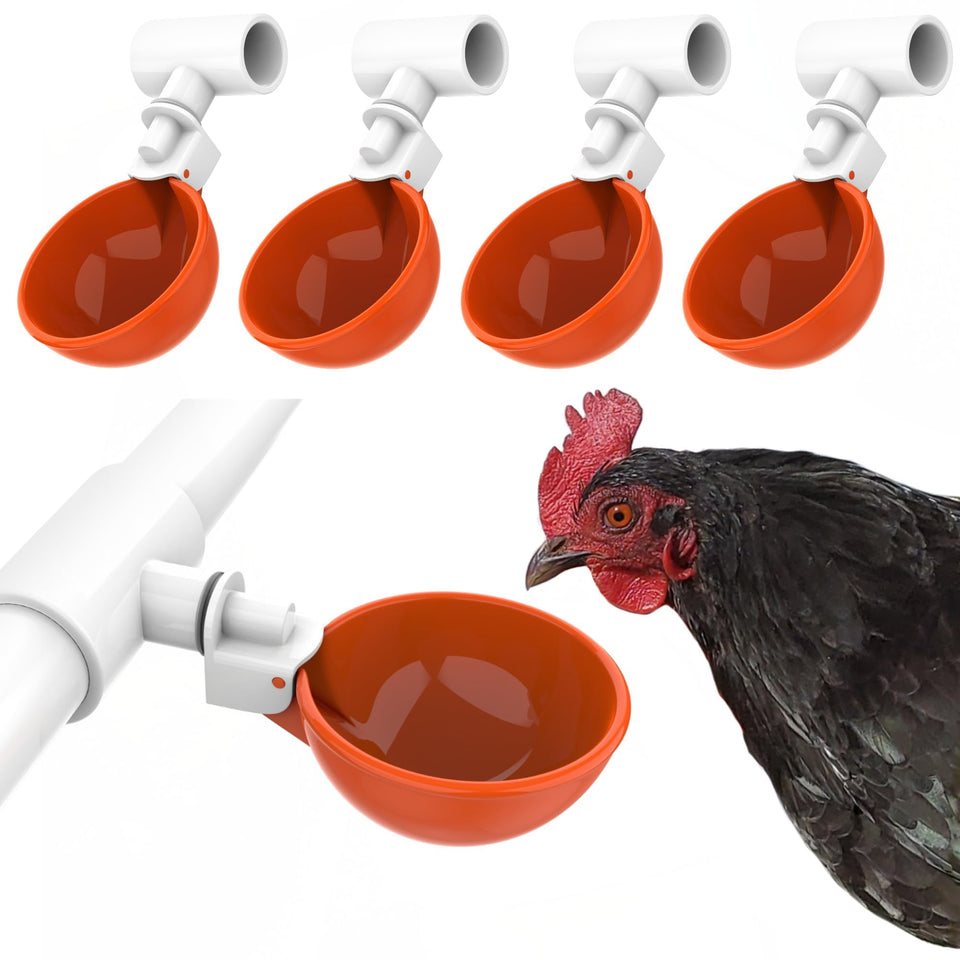 Lil'Clucker large automatic waterer cups in orange pack for reliable flock hydration.