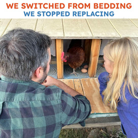 Lil'Clucker reusable alternative to disposable pads for backyard chickens