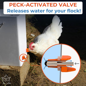 Lil'Clucker no-leak design highlighted to prevent spills in the coop.