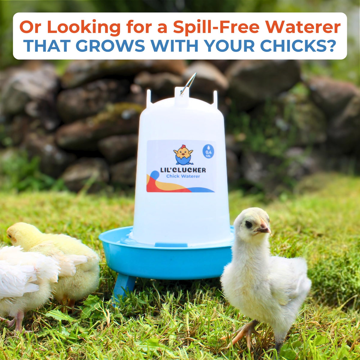 Lil'Clucker no-waste holes minimize spills and waste.