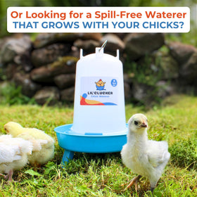 Lil'Clucker no-waste holes minimize spills and waste.