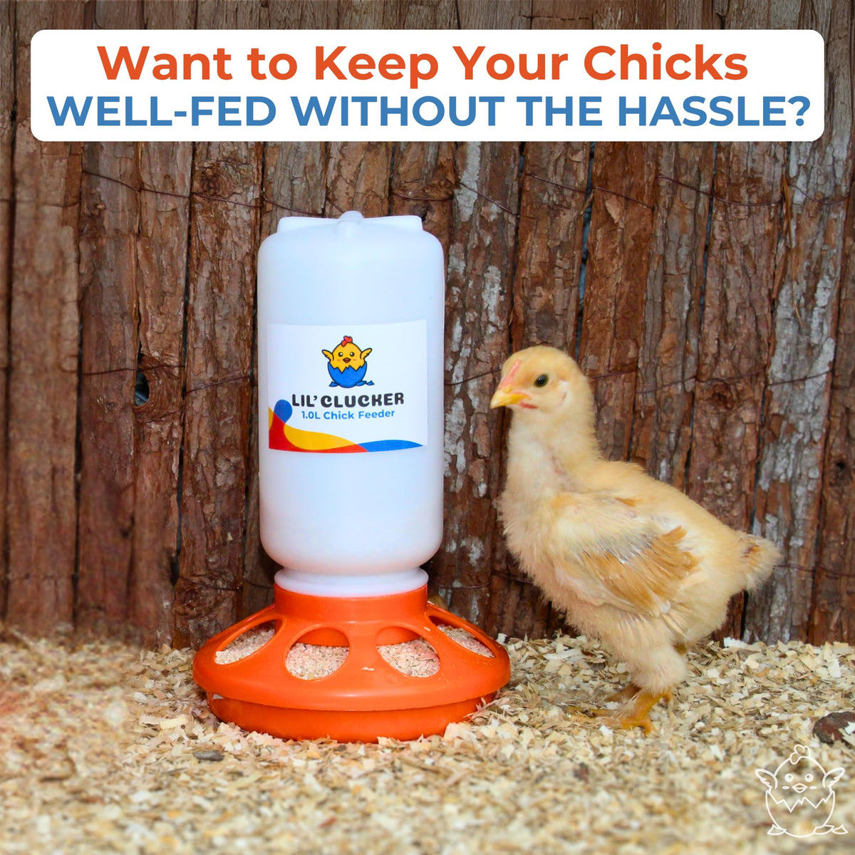 Lil'Clucker no-waste feeding holes reduce scratching and spills.