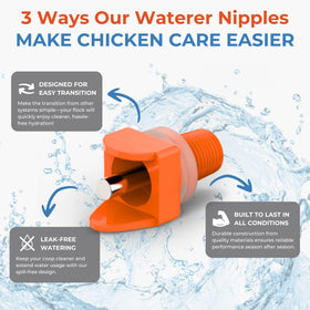 Lil'Clucker orange nipples mounted in a coop for easy chicken access.