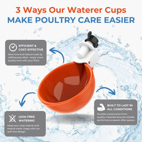 Lil'Clucker orange waterer supports rabbits and cats hydration.