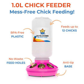 Lil'Clucker poultry waterer set compact design for small flocks