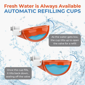 Lil'Clucker PVC half-inch tee fittings for easy water line setup.