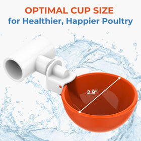 Lil'Clucker cups attached to PVC pipe provide continuous flock hydration.
