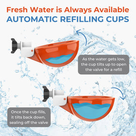 Lil'Clucker waterer cups side view showing the large 3-inch diameter for reliable access.