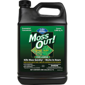 Lilly Miller Moss Out bottle closeup for fast moss control on lawns
