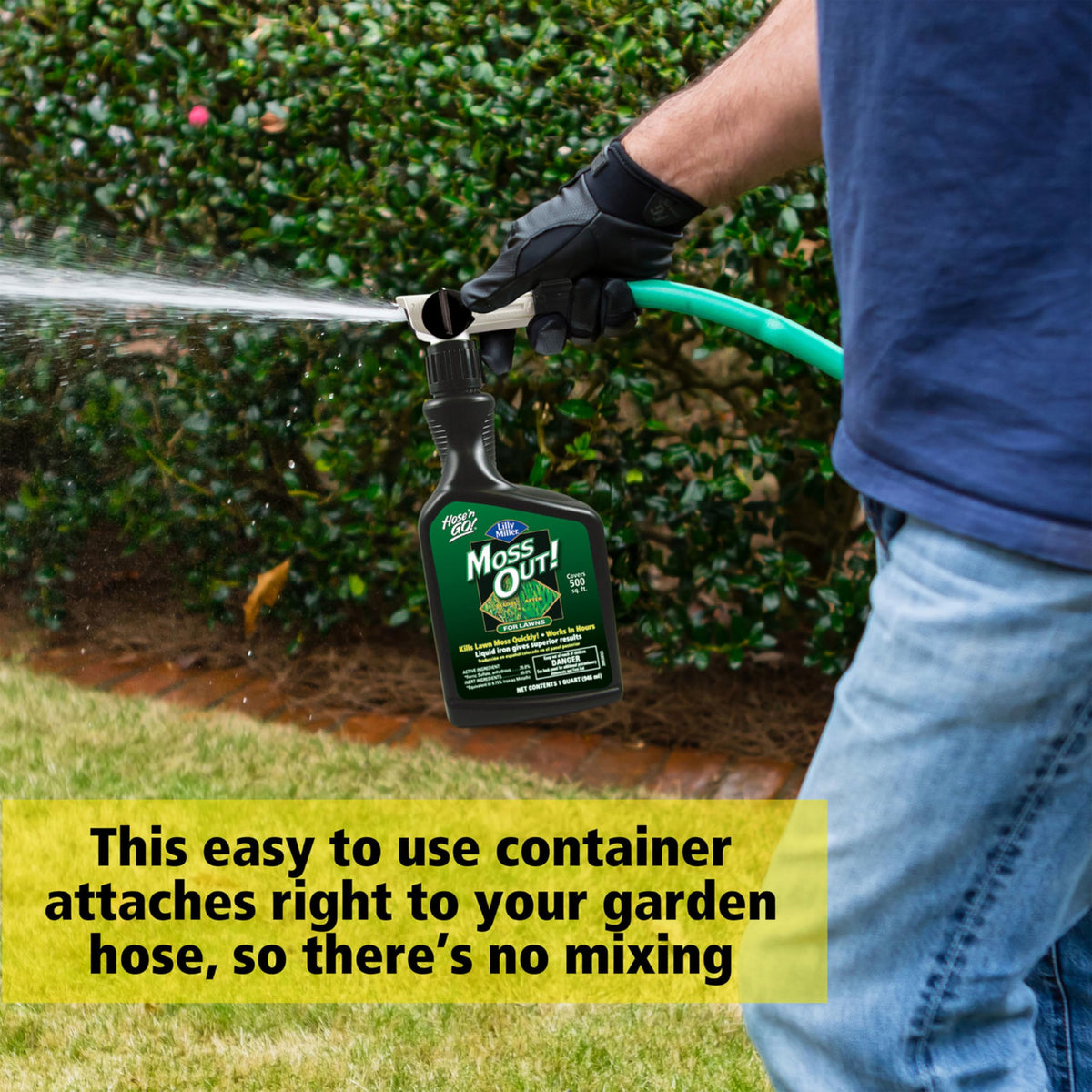 Ferric Sulfate-rich liquid being applied to mossy turf by spray.