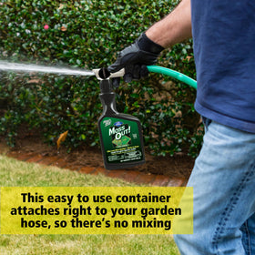 Ferric Sulfate-rich liquid being applied to mossy turf by spray.