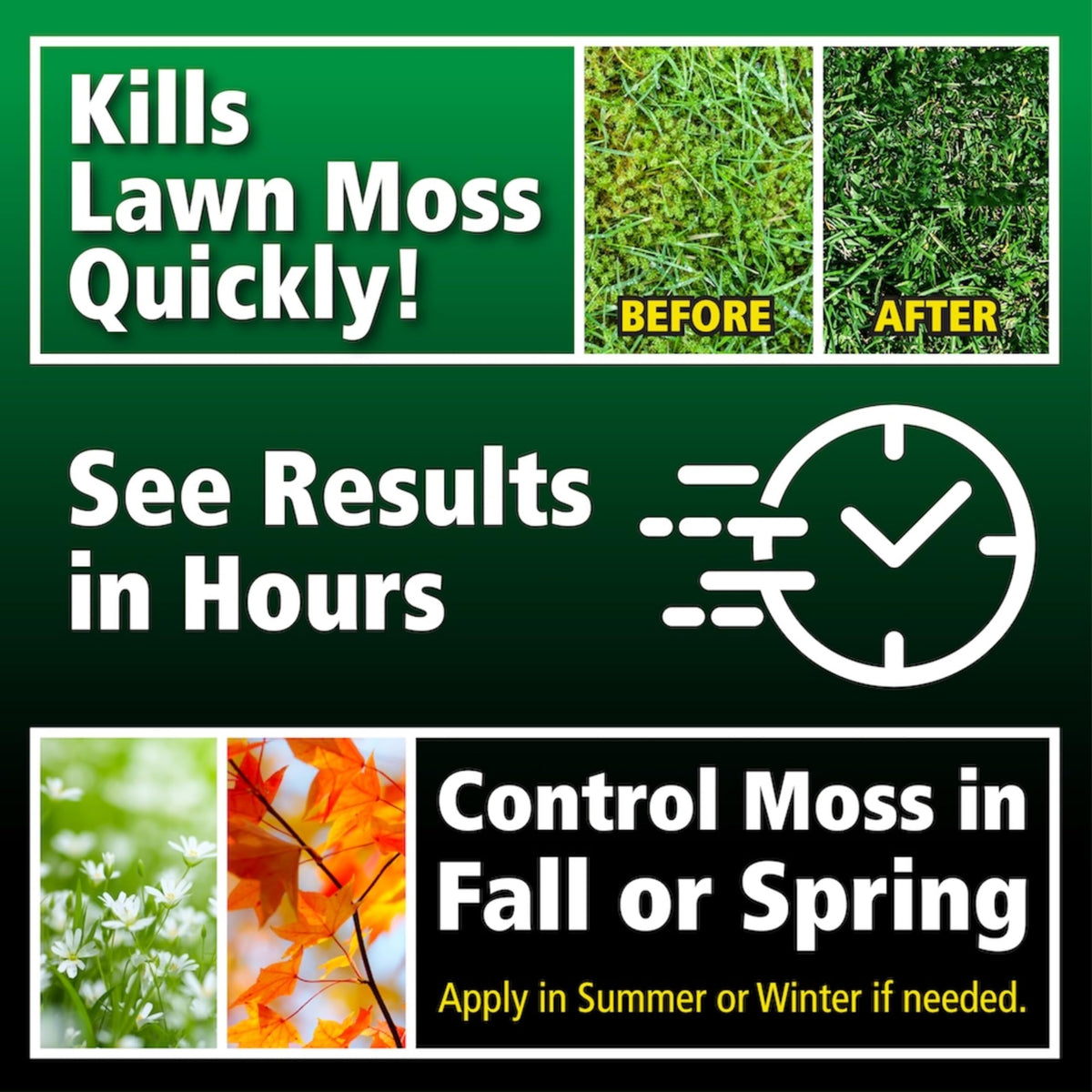Lilly Miller Moss Out on a moss-free lawn after treatment