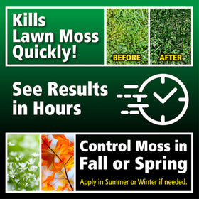 Lilly Miller Moss Out on a moss-free lawn after treatment