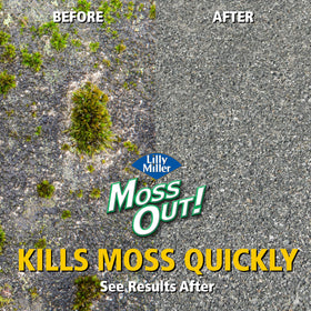 Lilly Miller Moss Out non-staining formula protects nearby surfaces