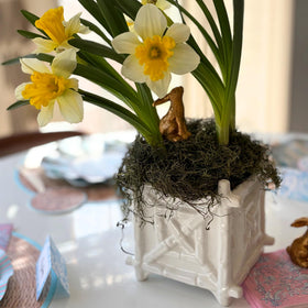 Ceramic Lilly Pulitzer planter interior view highlights glaze and depth.