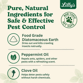 Bed bug killer powder applied in the bedroom for proactive pest defense.