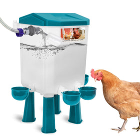 Lilyang automatic chicken waterer with visible float valve setup for steady hydration