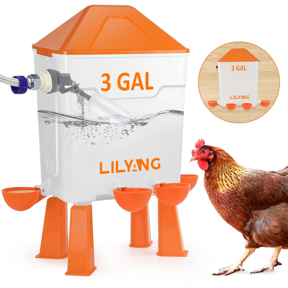 Lilyang automatic waterer with 3-gallon capacity keeps your flock hydrated.