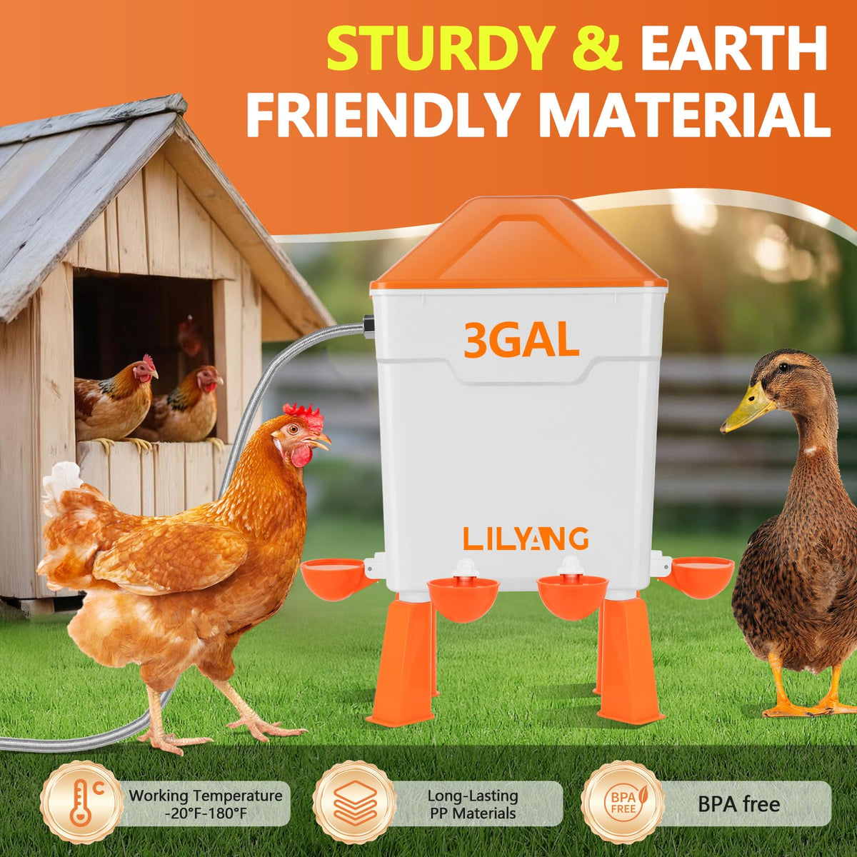 Lilyang elevated legs improve coop hygiene and easier cleaning.