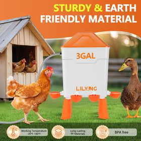 Lilyang elevated legs improve coop hygiene and easier cleaning.