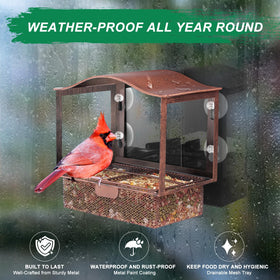 Lilyang wide-view window feeder for up-close bird watching