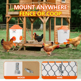Lilyang XL water cups auto-refill for steady flock hydration.