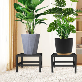 Lilybud display stand enhances room decor while keeping plants accessible and tidy.