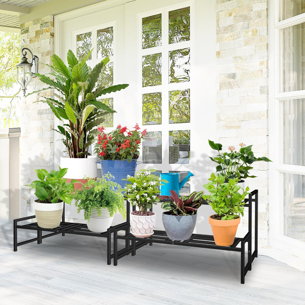 Lilybud Lily space-saving stand keeps plants organized