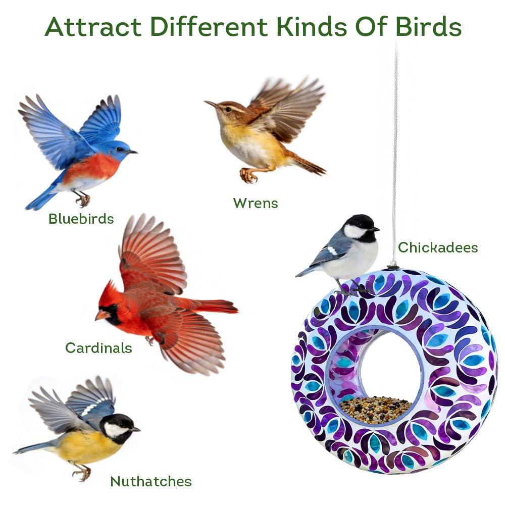 Lily's Home 8-inch diameter feeder with ample space for seed and daily visits