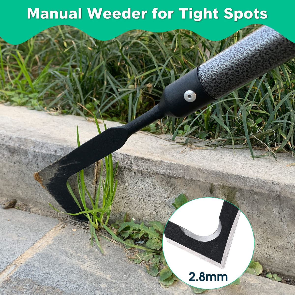 Lilyvane Crack Weeder with metal handle for steady leverage.