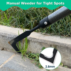 Lilyvane Crack Weeder with metal handle for steady leverage.