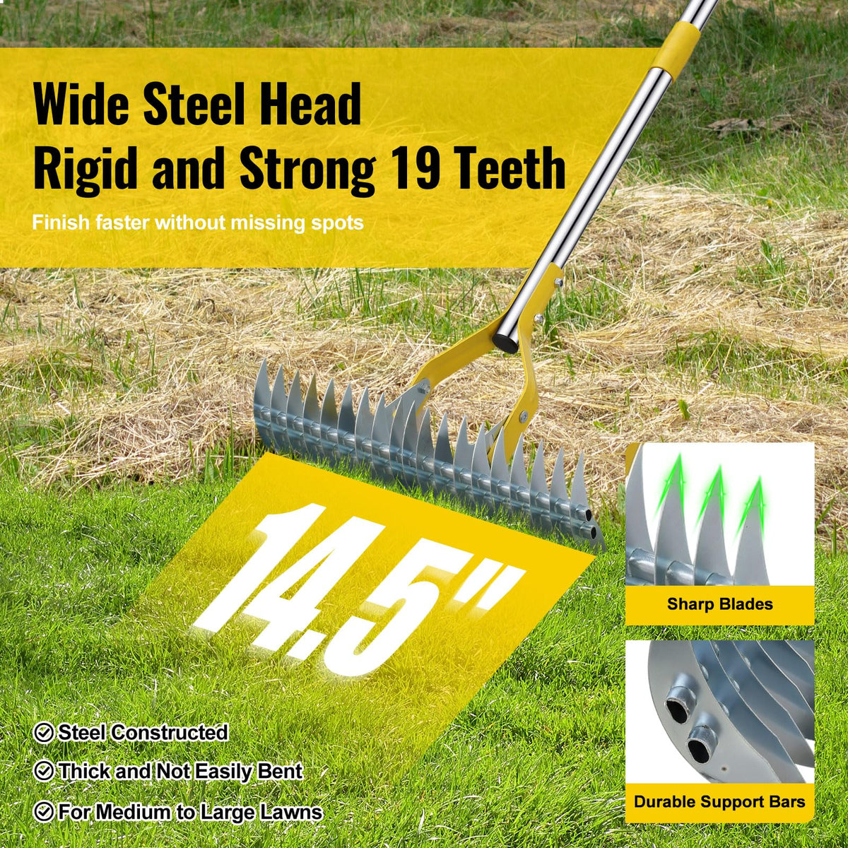Lilyvane stainless steel dethatcher strips moss and debris for a cleaner turf.