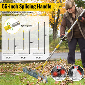 Lilyvane stainless steel dethatcher resists rust for lasting lawn performance.