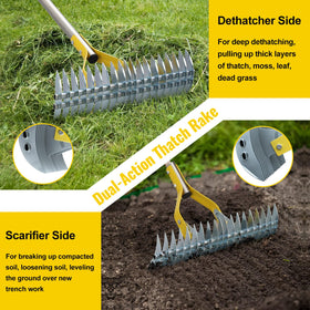 Lilyvane two-in-one rake head handles dethatching and leaf gathering in one pass.