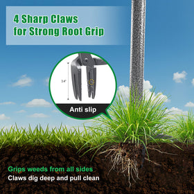 Lilyvane weed puller four-claw steel head grips weeds from the root.