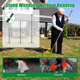 Sharp tapered claws ease soil entry for effective root capture.