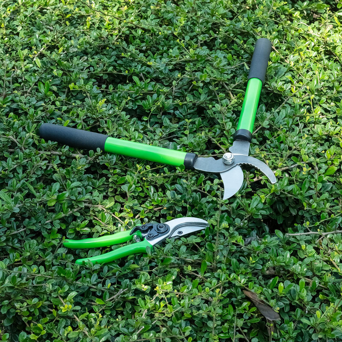 Linatikou pruning shears with lifetime warranty and US support
